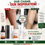 Effect Care Health Experts | Psorasis Care Combo Kit | EC CREAM PACK + RAKTA MANTRA BLOOD PURIFIER SYRUP + RAKTA MANTRA CAPSULES (60Cap) - Image 3